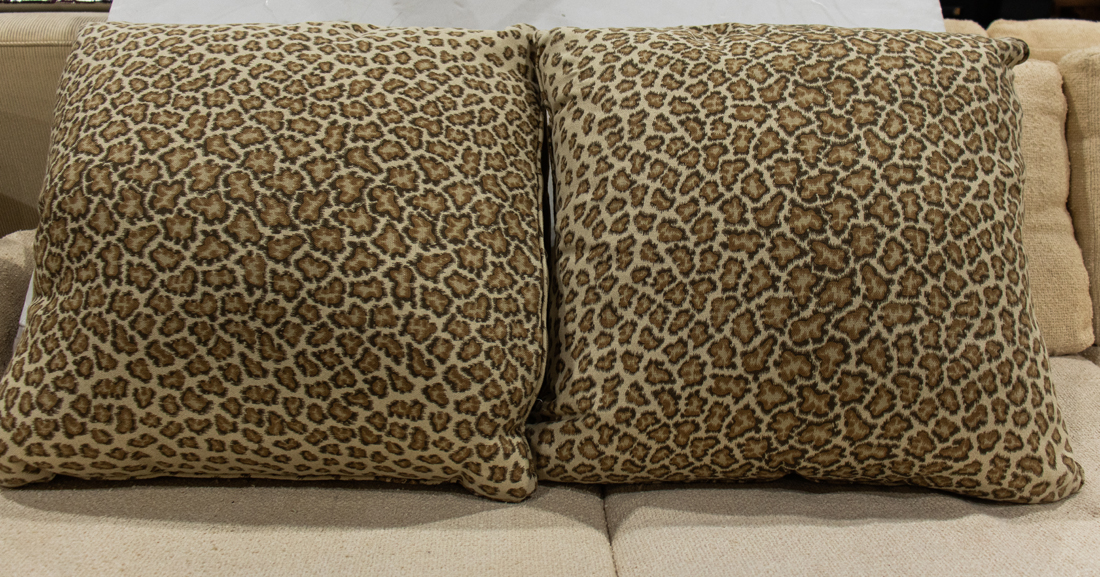 PAIR OF CONTEMPORARY PILLOWS Pair