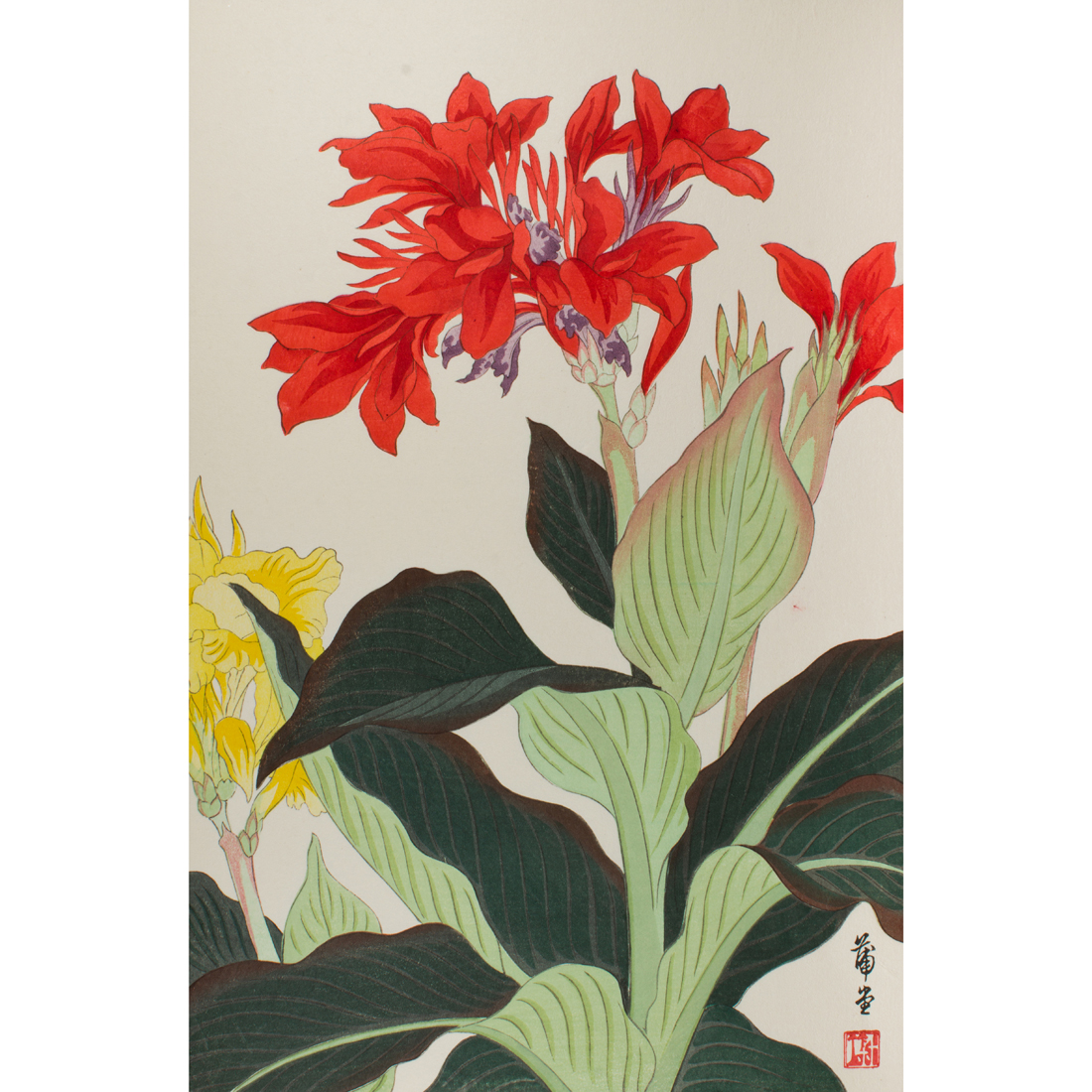 NISHIMURA HODO CANNA LILY Nishimura 3a106f