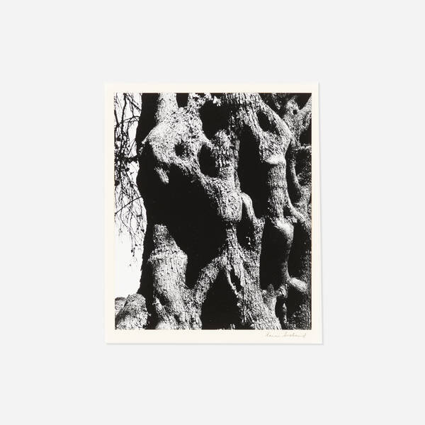 Aaron Siskind 1903 1991 Corfu 39fd2f