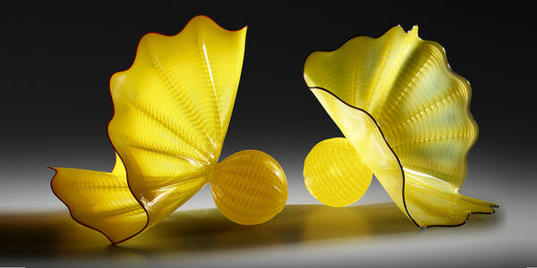 Dale Chihuly Buttercup Yellow 3a081d