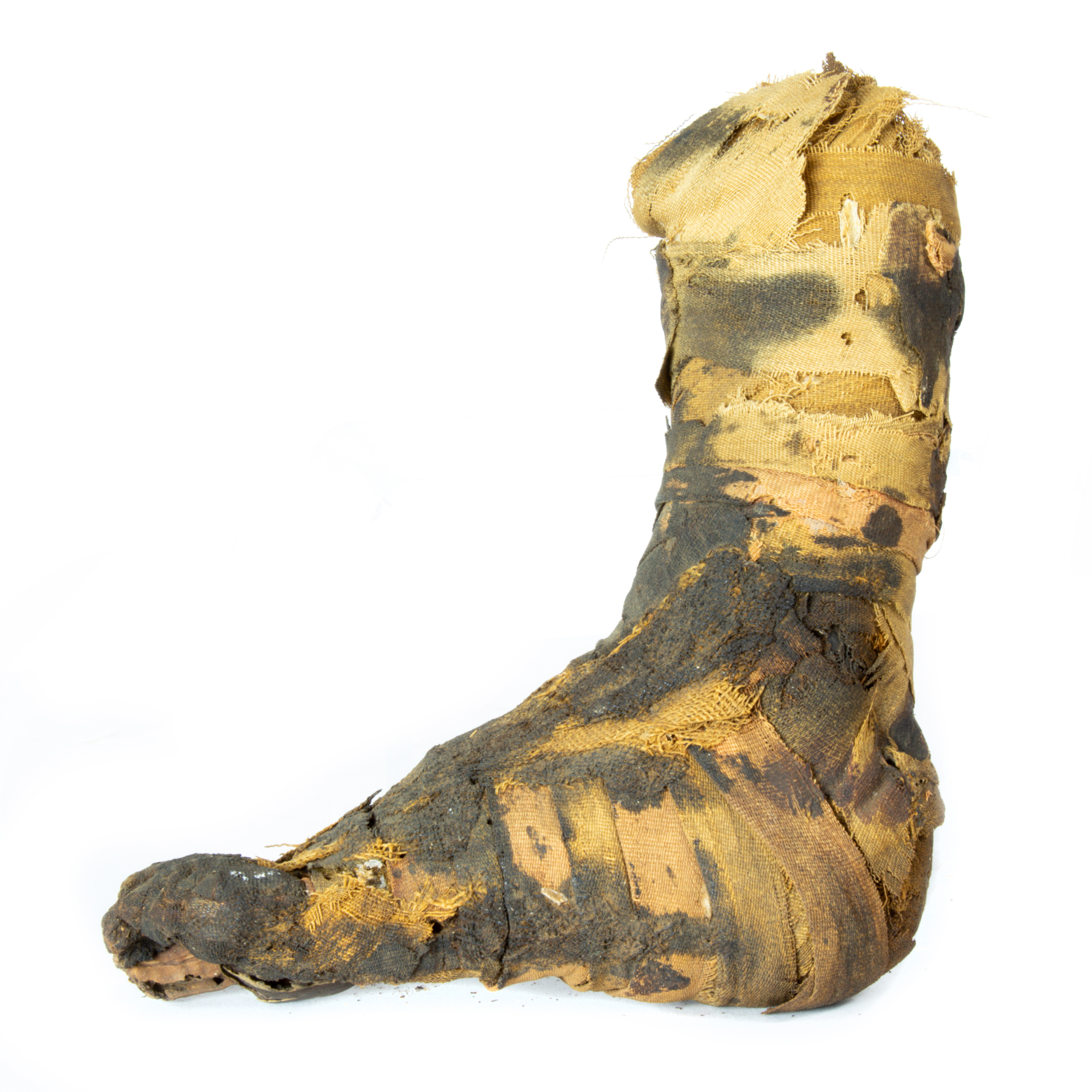 ANCIENT EGYPTIAN MUMMIFIED FOOT