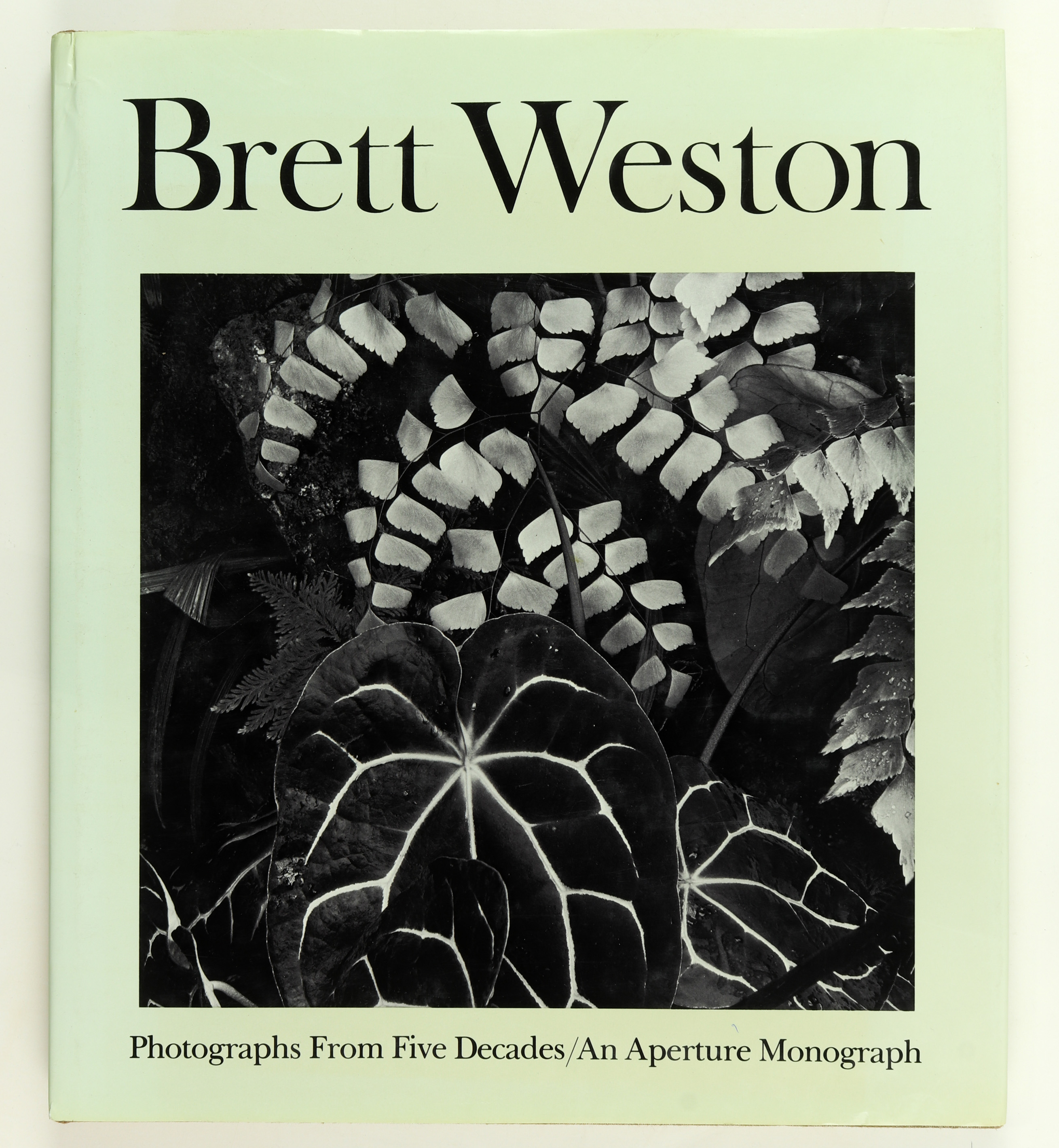 BOOK, BRETT WESTON, PHOTOGRAPHS FROM