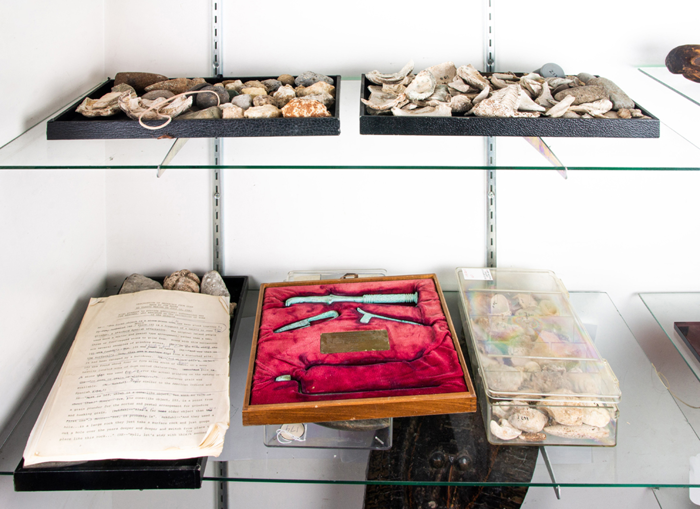 TWO SHELVES OF OCEANIC STONE AND