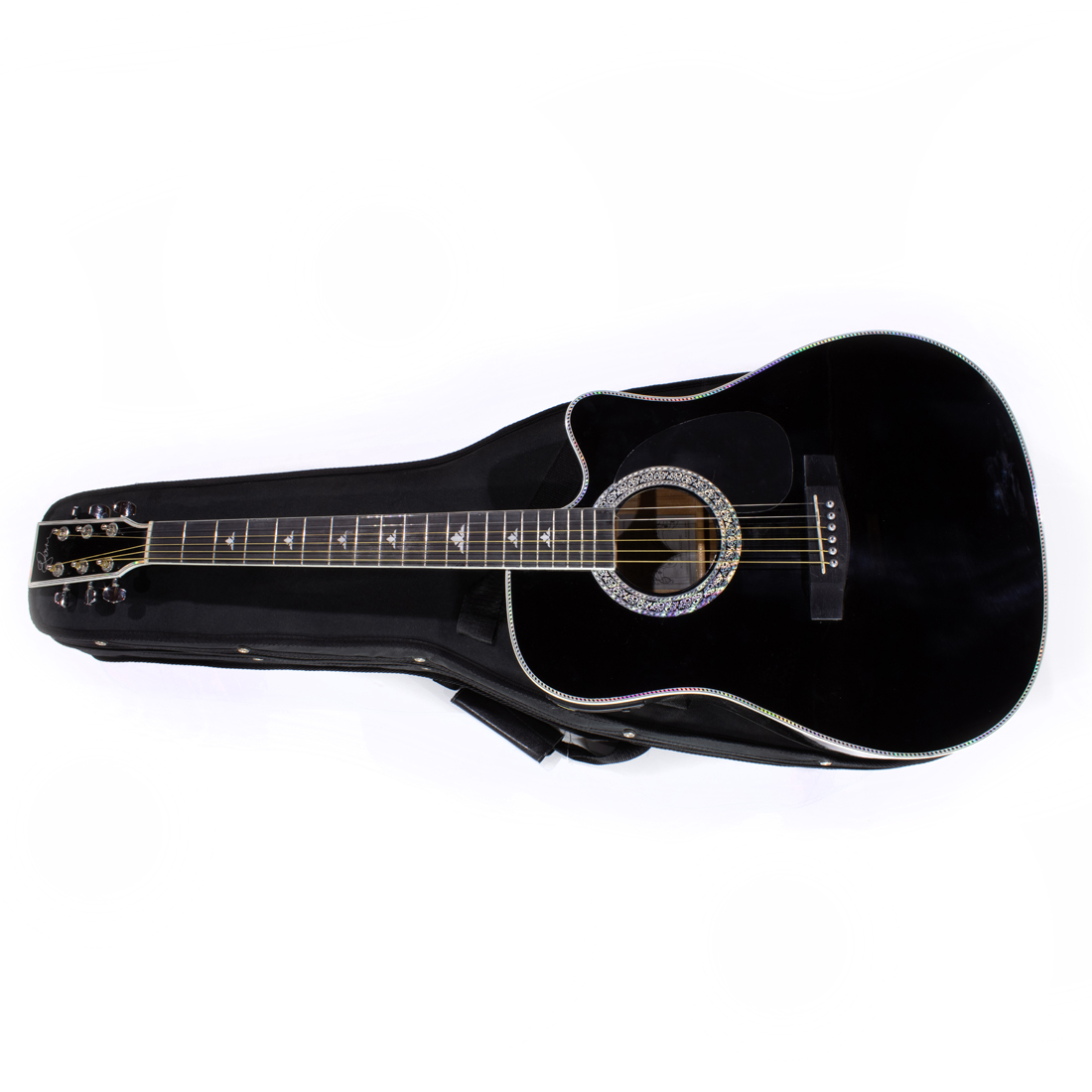 ESTEBAN ACOUSTIC GUITAR IN CASE 3a3b34