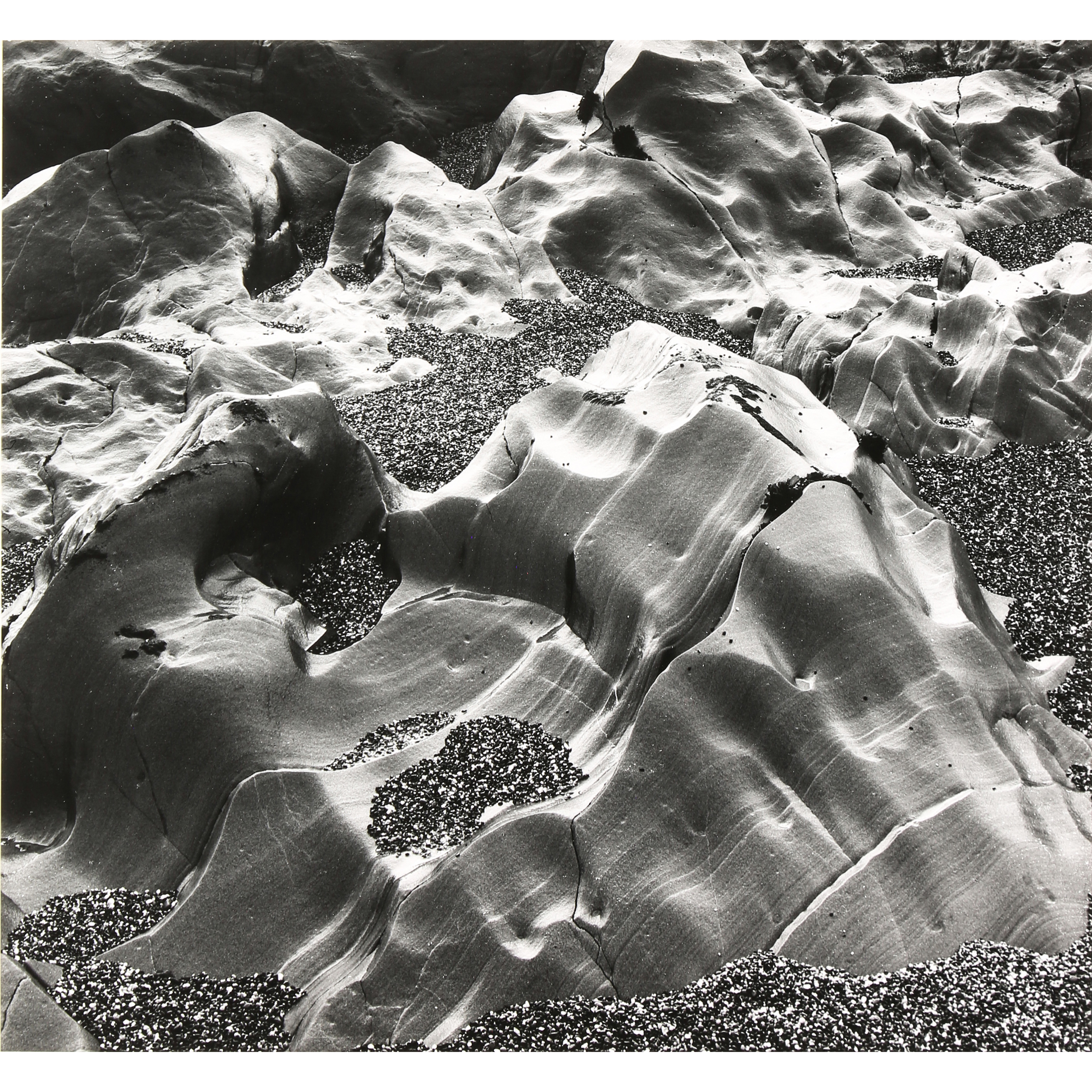 PHOTOGRAPH BRETT WESTON Brett 3a2e9b