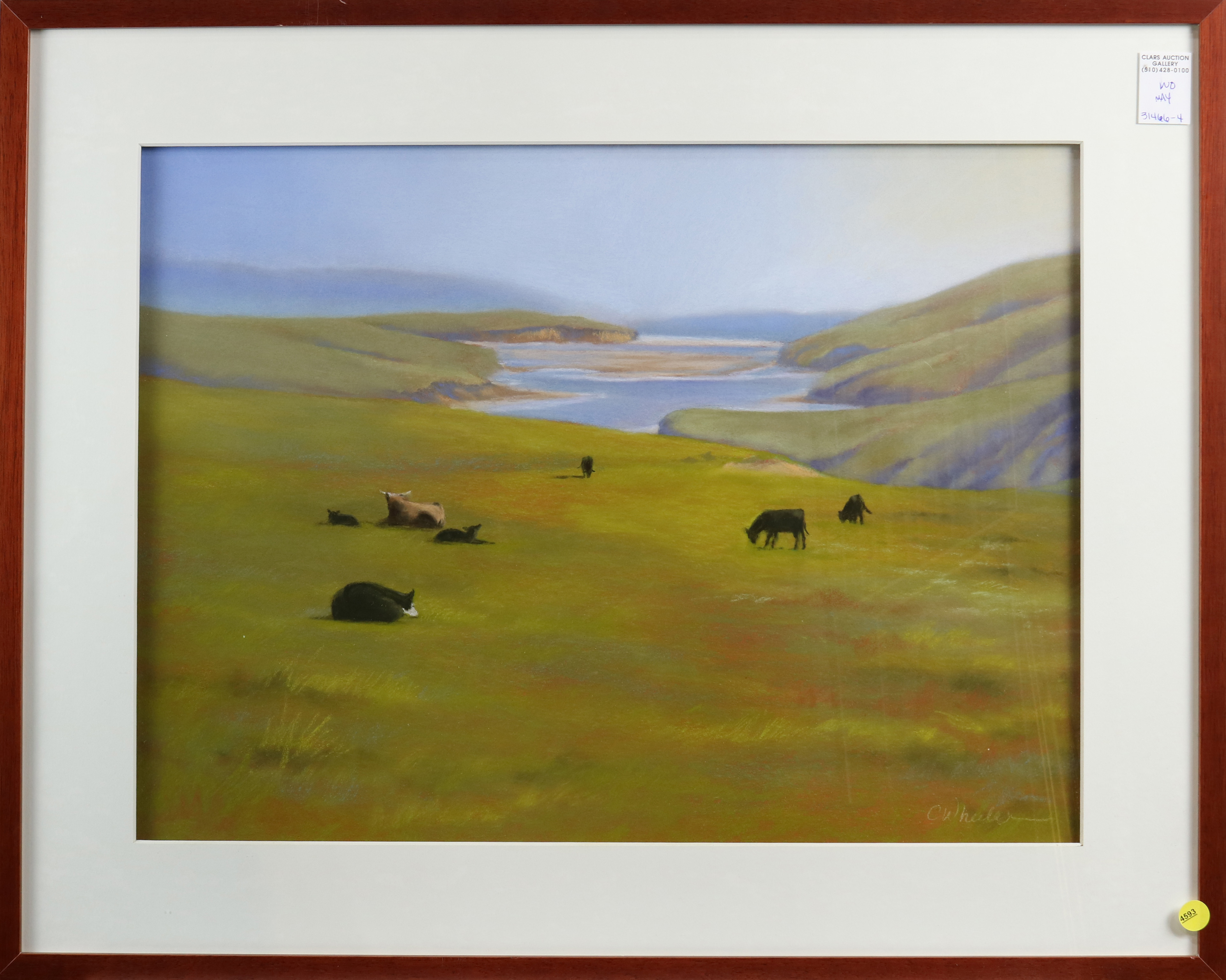 PASTEL, COWS ON THE COASTLINE California