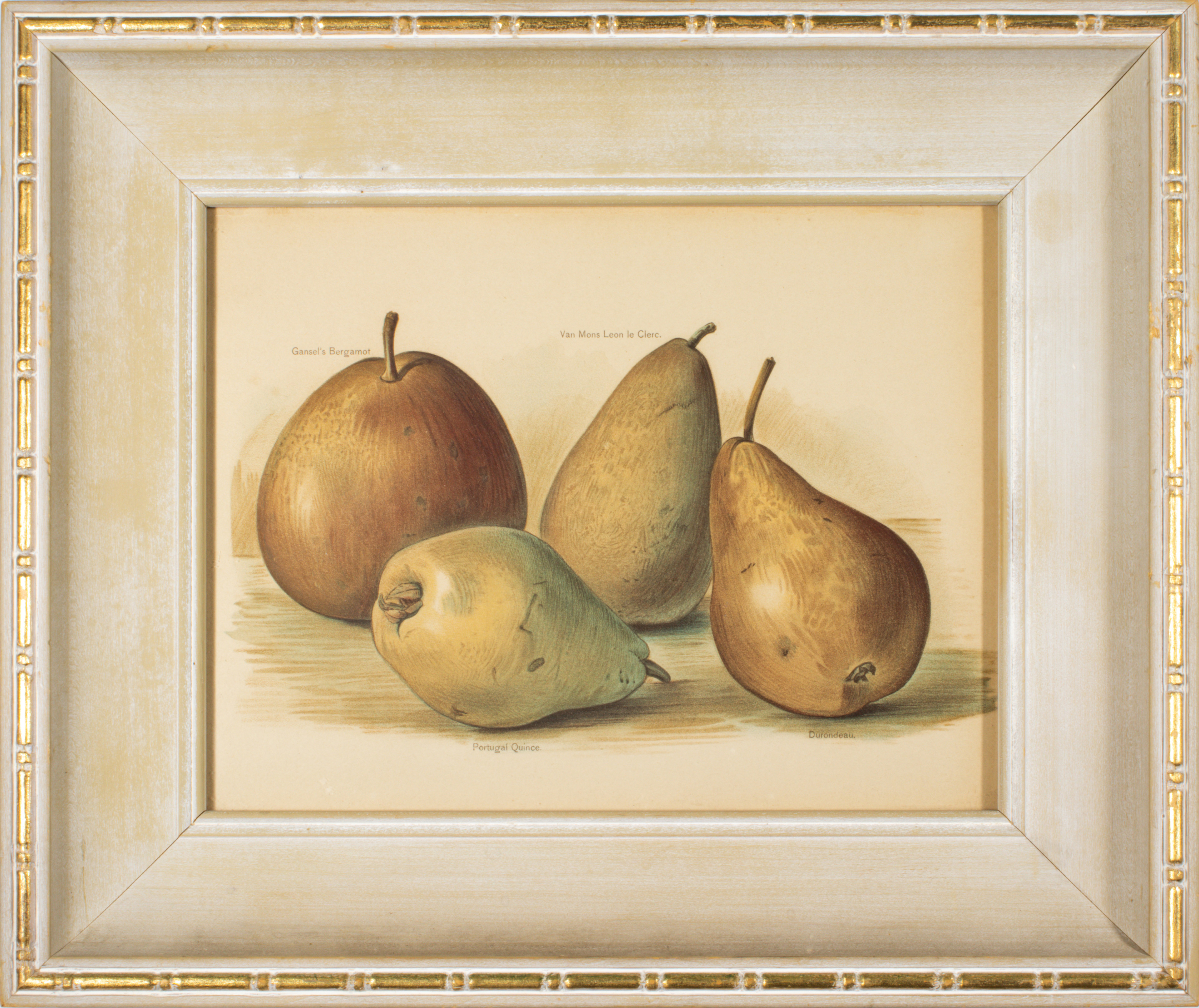 PRINTS, PEARS FROM THE FRUIT GROWERS