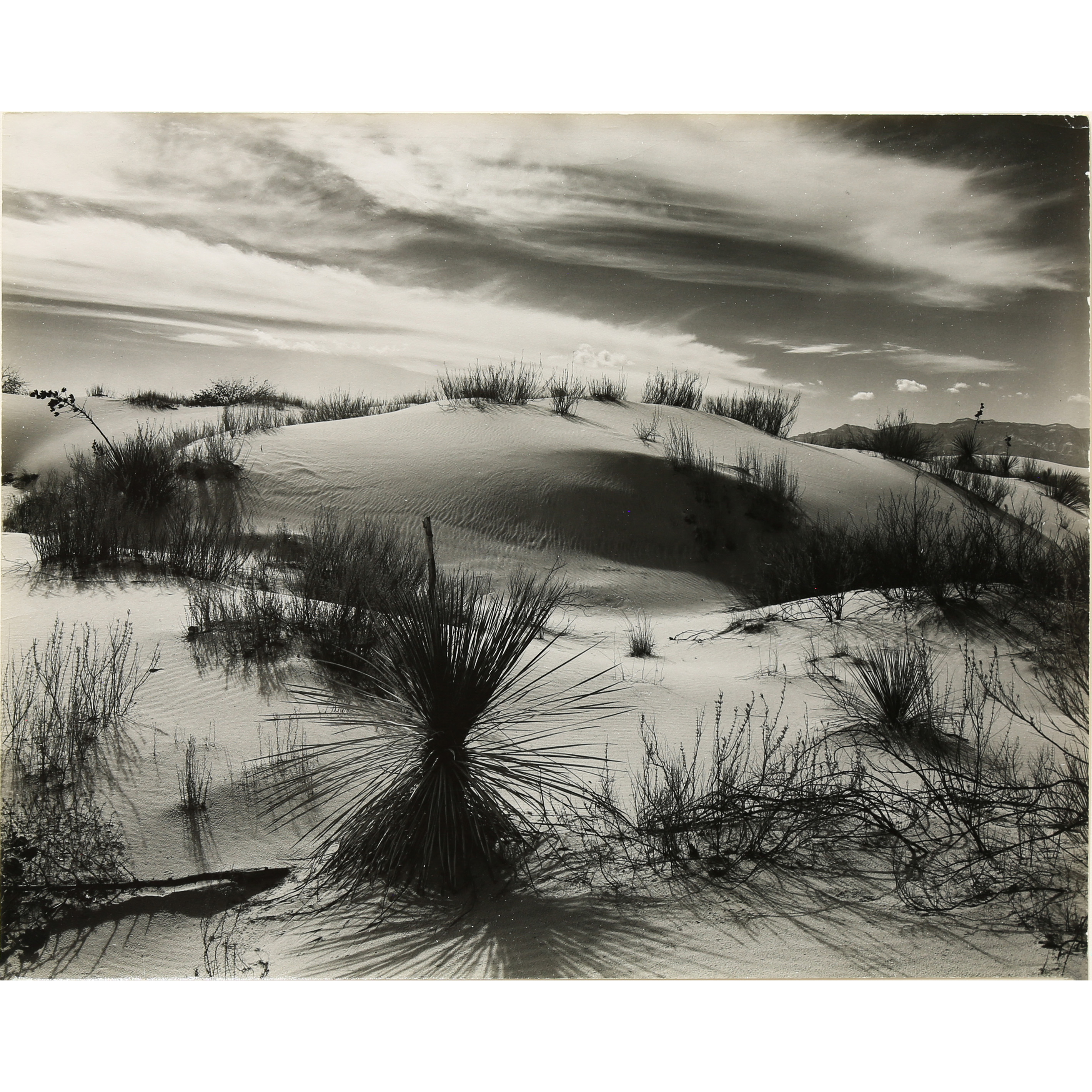 PHOTOGRAPH BRETT WESTON Brett 3a4be6