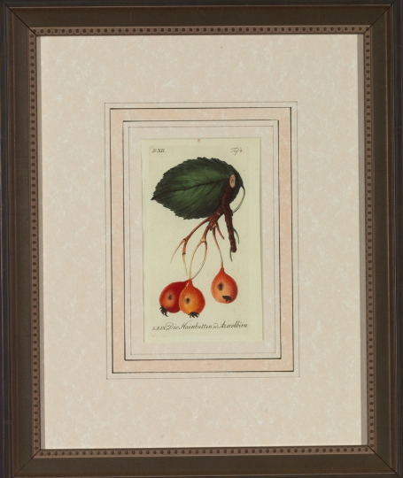 German School 19th Century Fruit 3a5168