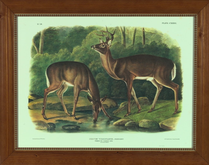 After John James Audubon American  3a53b3