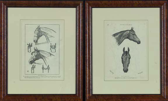 Pair of 19th Century British Equestrian 3a54d9