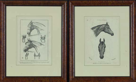 Pair of 19th Century British Equestrian