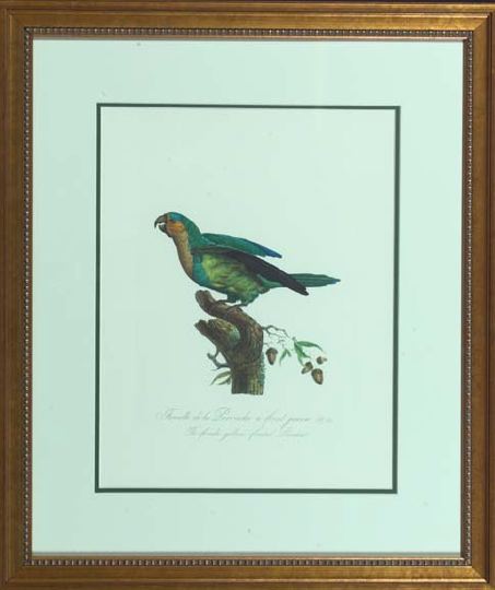 French School 20th Century Parrots  3a54e4