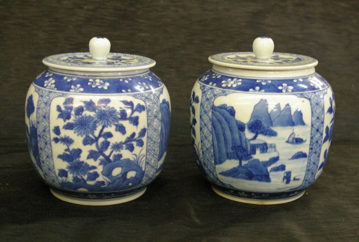 Pair of Kuang Hsu Blue-and-White