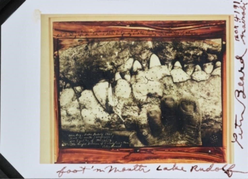 PETER BEARD (1938-2020) AMERICANFoot