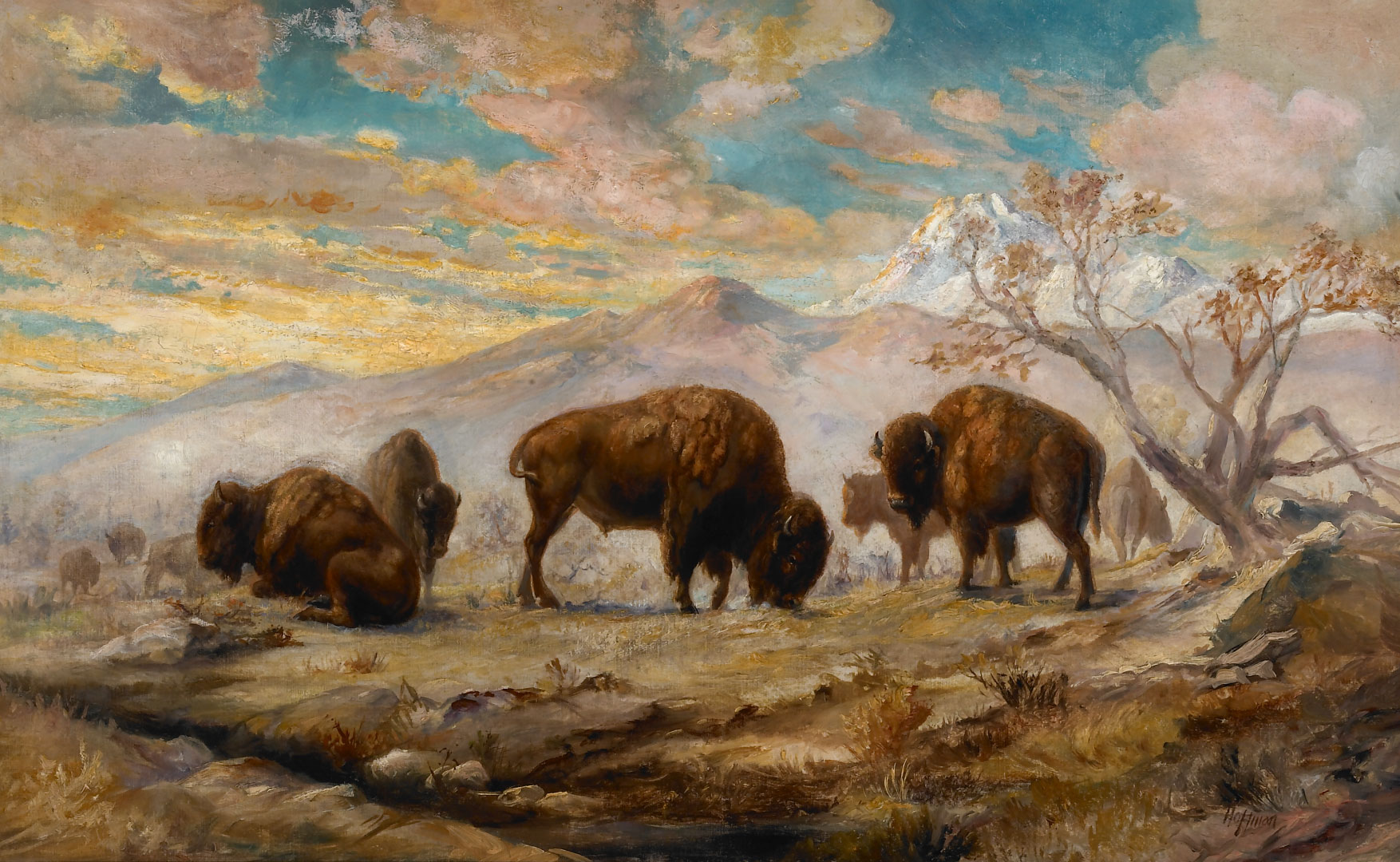 FRANK HOFFMAN 1888 1958 BUFFALO 3a93dd