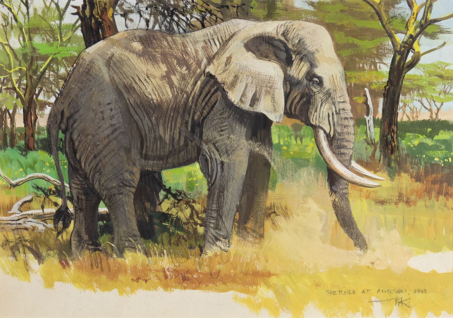 BOB KUHN (1920-2007), ELEPHANT