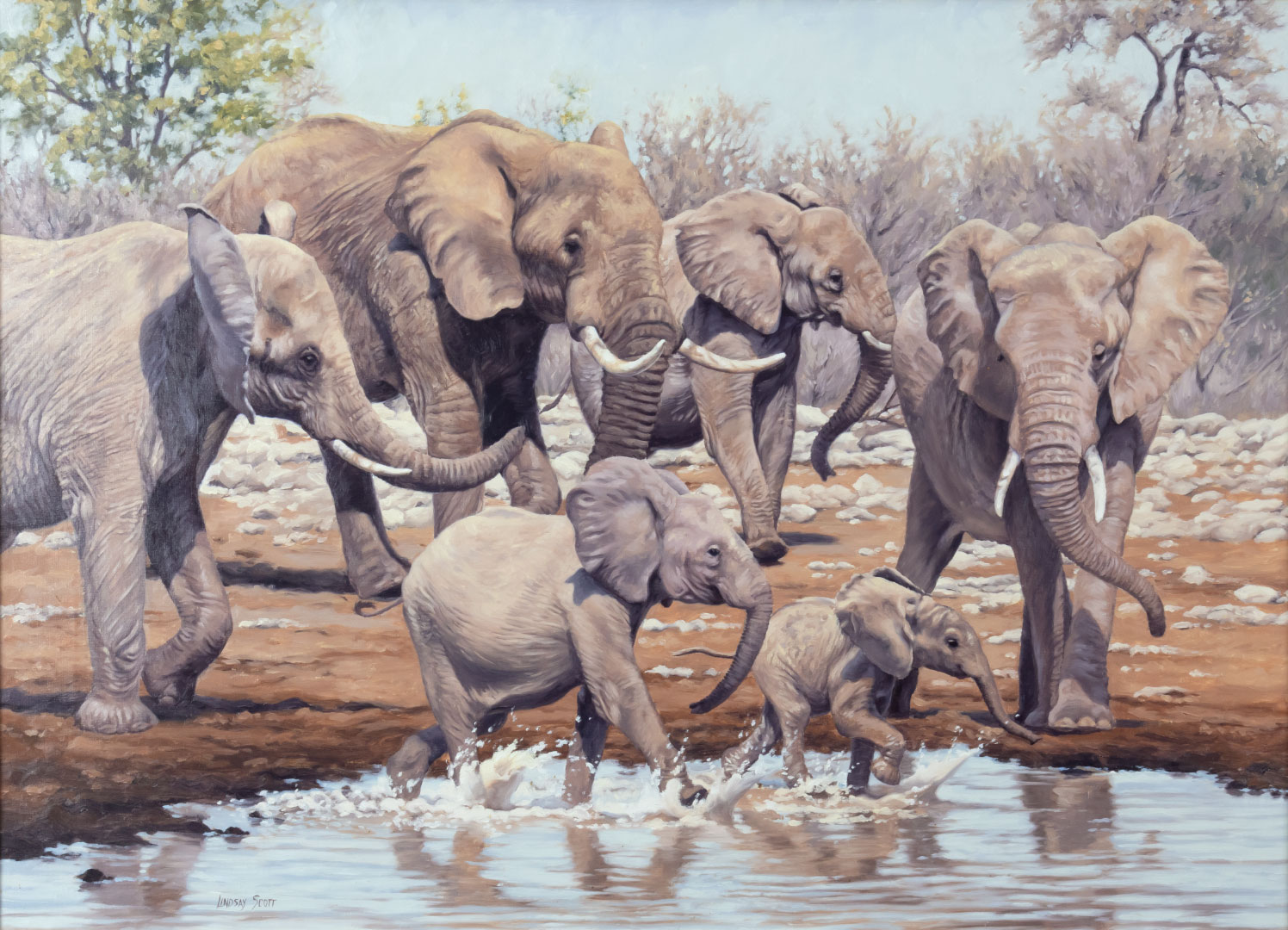 LINDSAY SCOTT (1955-), ELEPHANTS