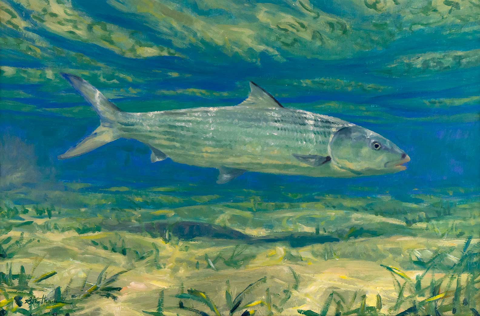 MIKE STIDHAM (1954- ), BONEFISH Fine