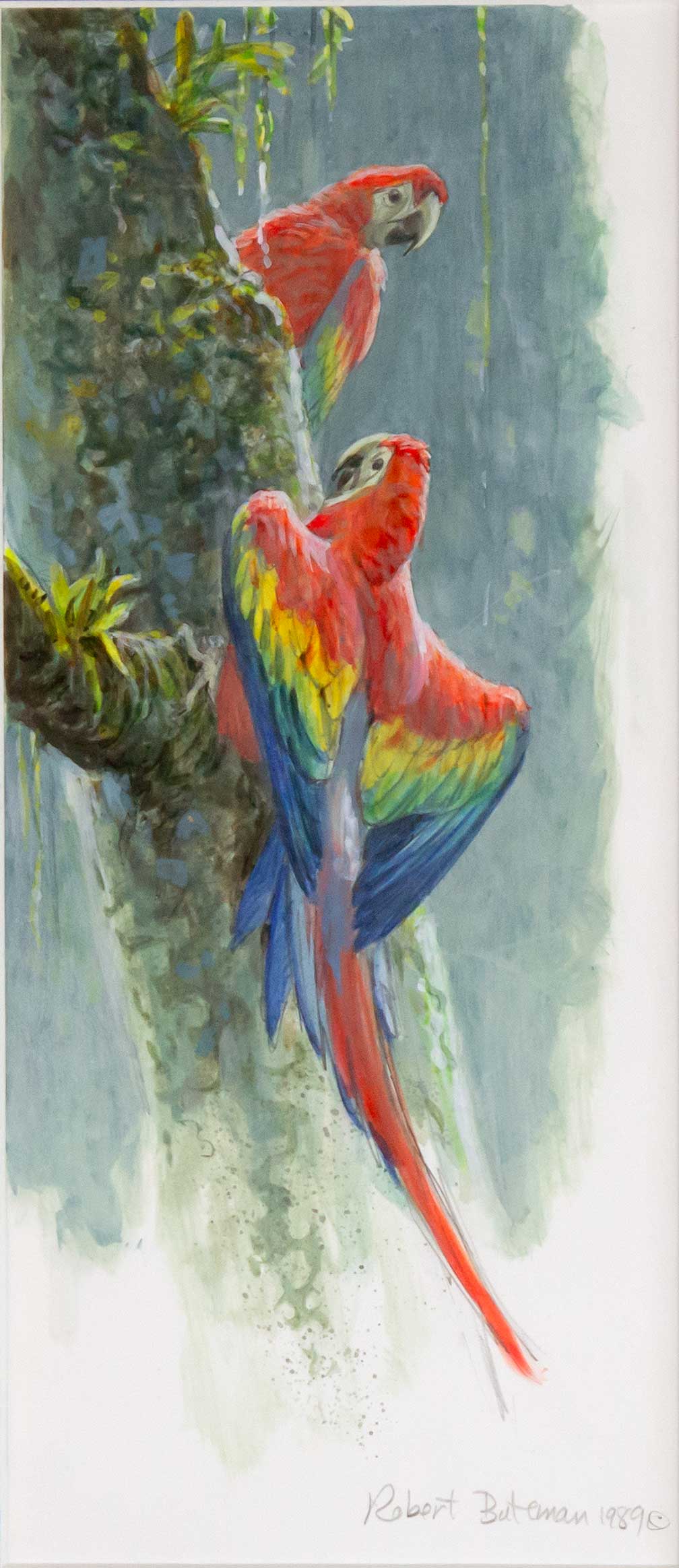 ROBERT BATEMAN (1930- ), SCARLET MACAWS