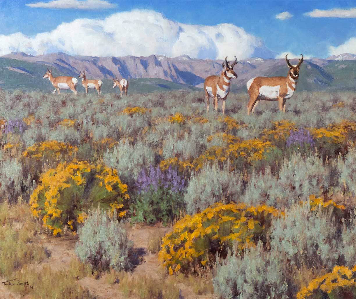 TUCKER SMITH 1940 RABBIT BRUSH  3a974a