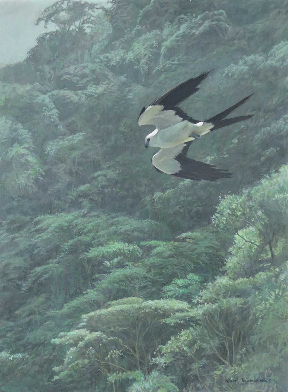 ROBERT BATEMAN (1930- ), SWALLOW-TAILED