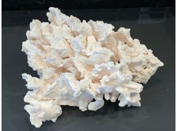 A piece of large white coral, @