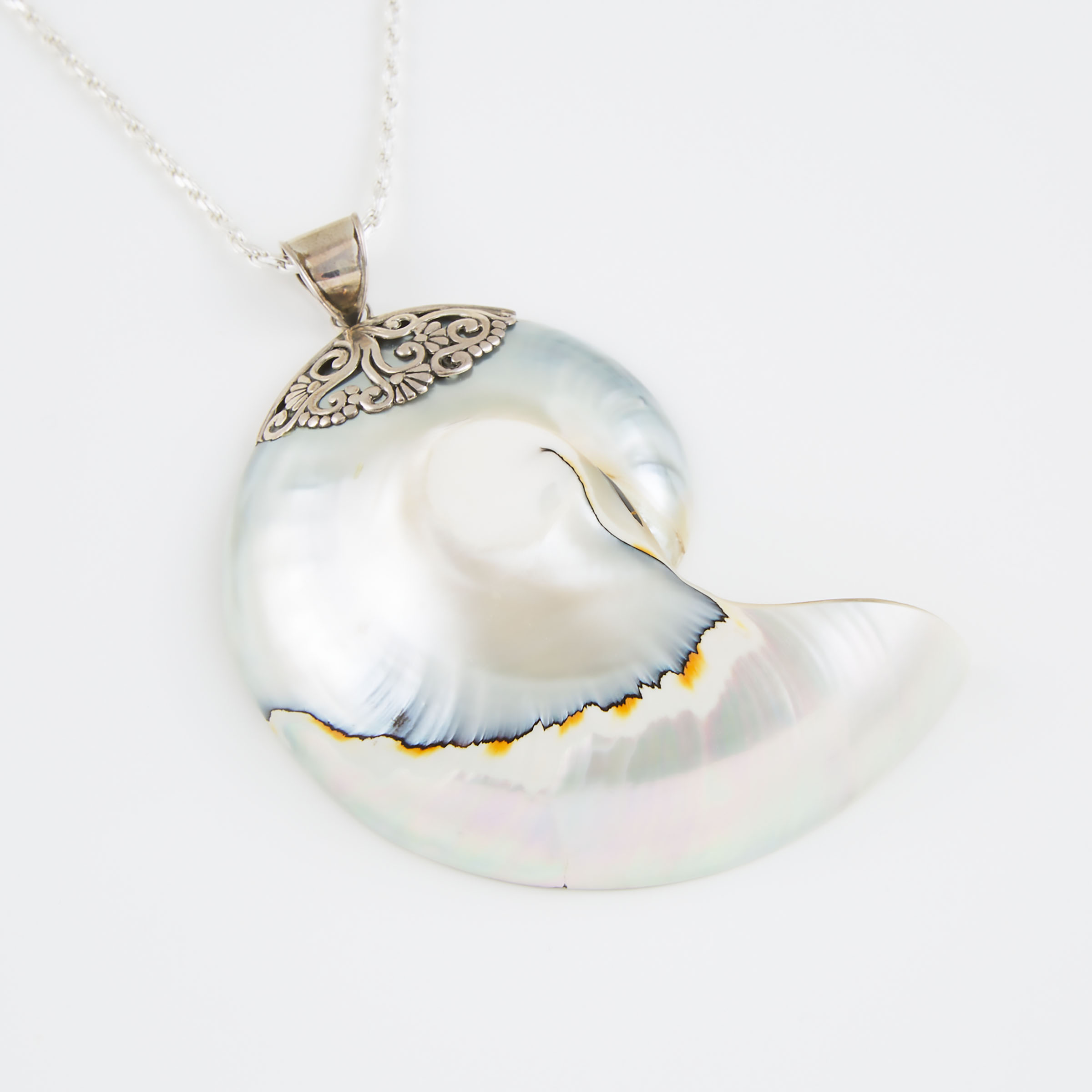 Nautilus Pendant  mounted in sterling