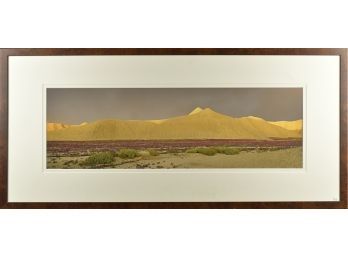 Large scale framed photograph  3ab719