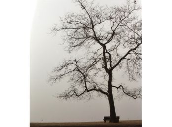 An artist proof photograph of a park