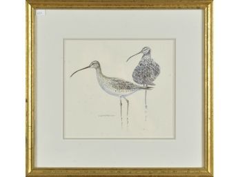 Watercolor of two sand pipers in