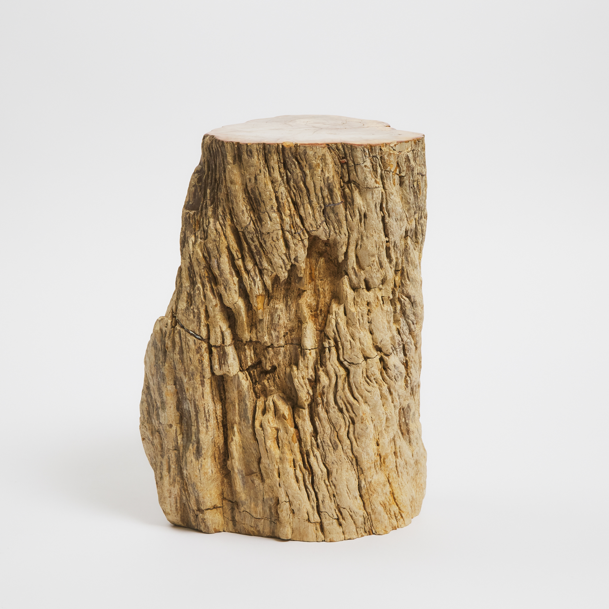 A Petrified Wood Stool height 3ab8a8