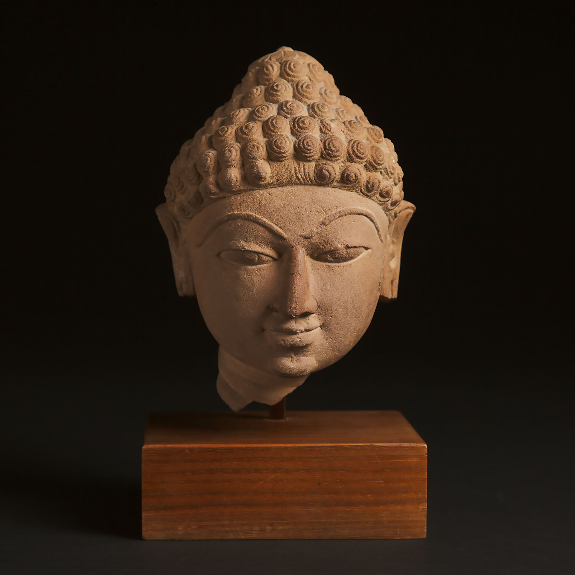 A Jain Sandstone Head of a Jina, Central