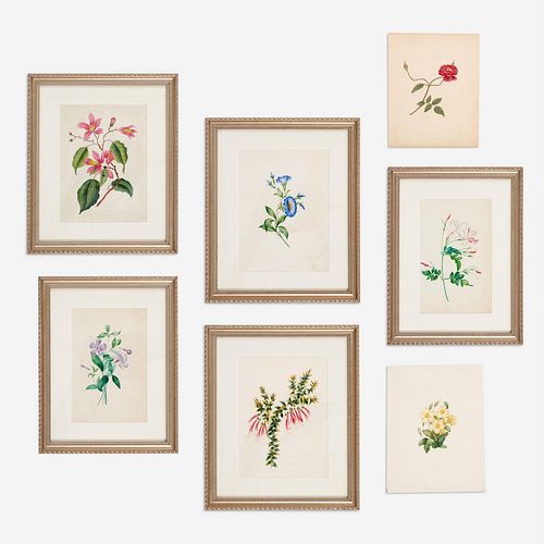 GROUP OF 7 FRENCH BOTANICAL WATERCOLORS  3a994e
