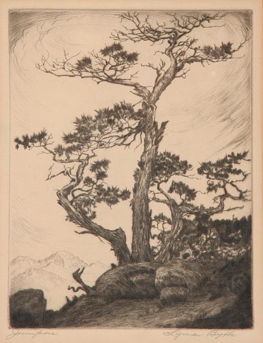 LYMAN BYXBE PENCIL-SIGNED ETCHING, JUNIPERSLyman