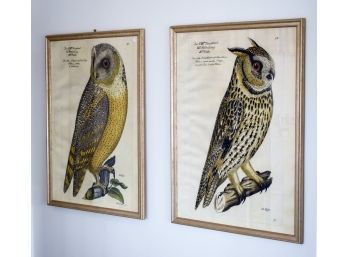Two large scale contemporary prints
