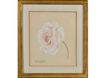 Pastel on tan paper, pink rose, inscribed