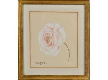 Pastel on tan paper, pink rose,