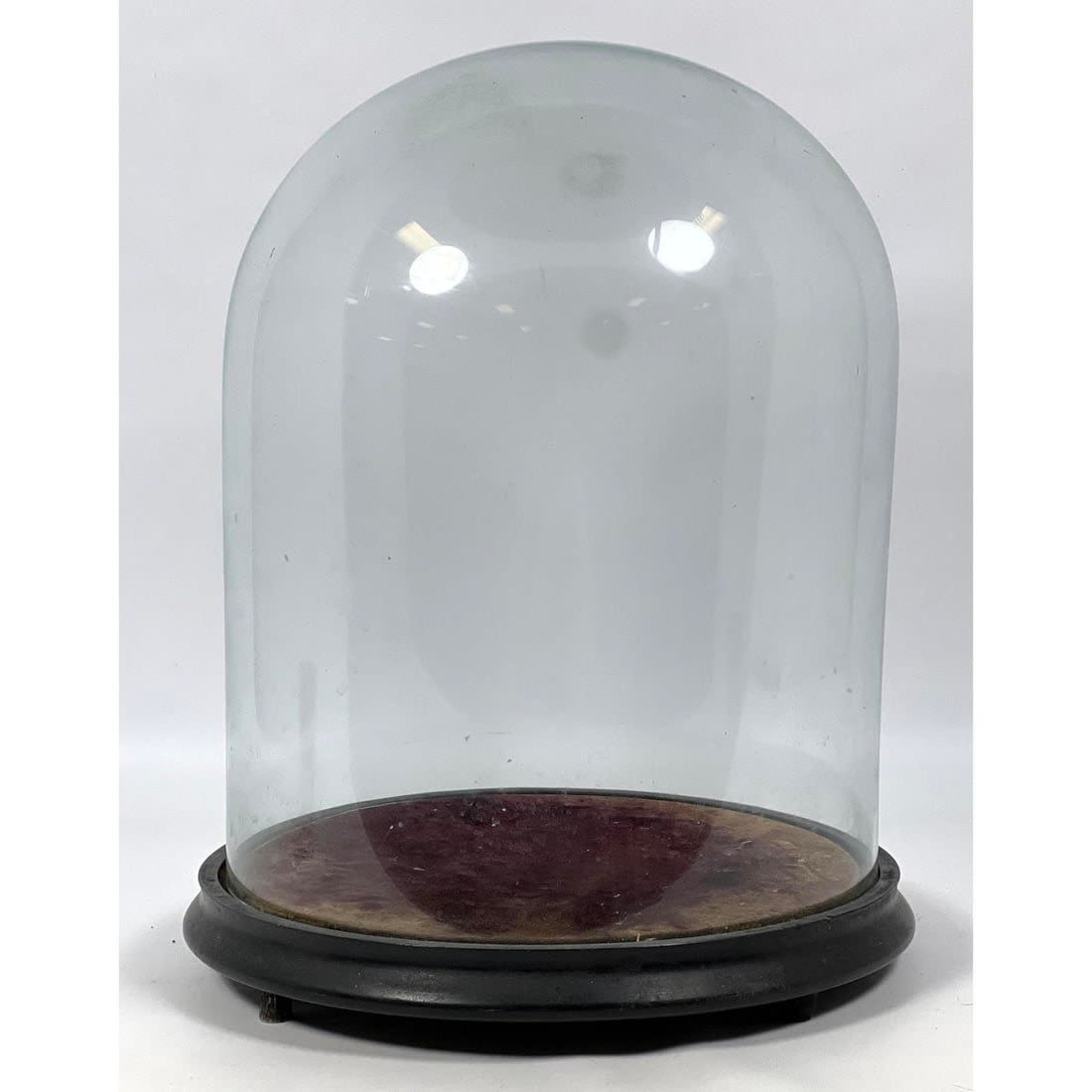 Victorian glass dome. Tall and