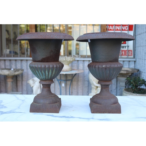 Pair of French cast iron garden