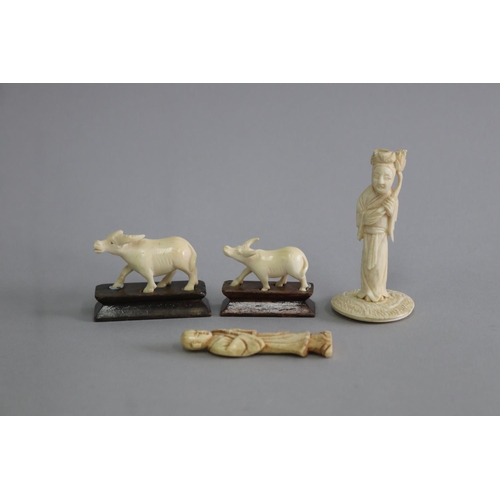 Various collection of ivory/bone
