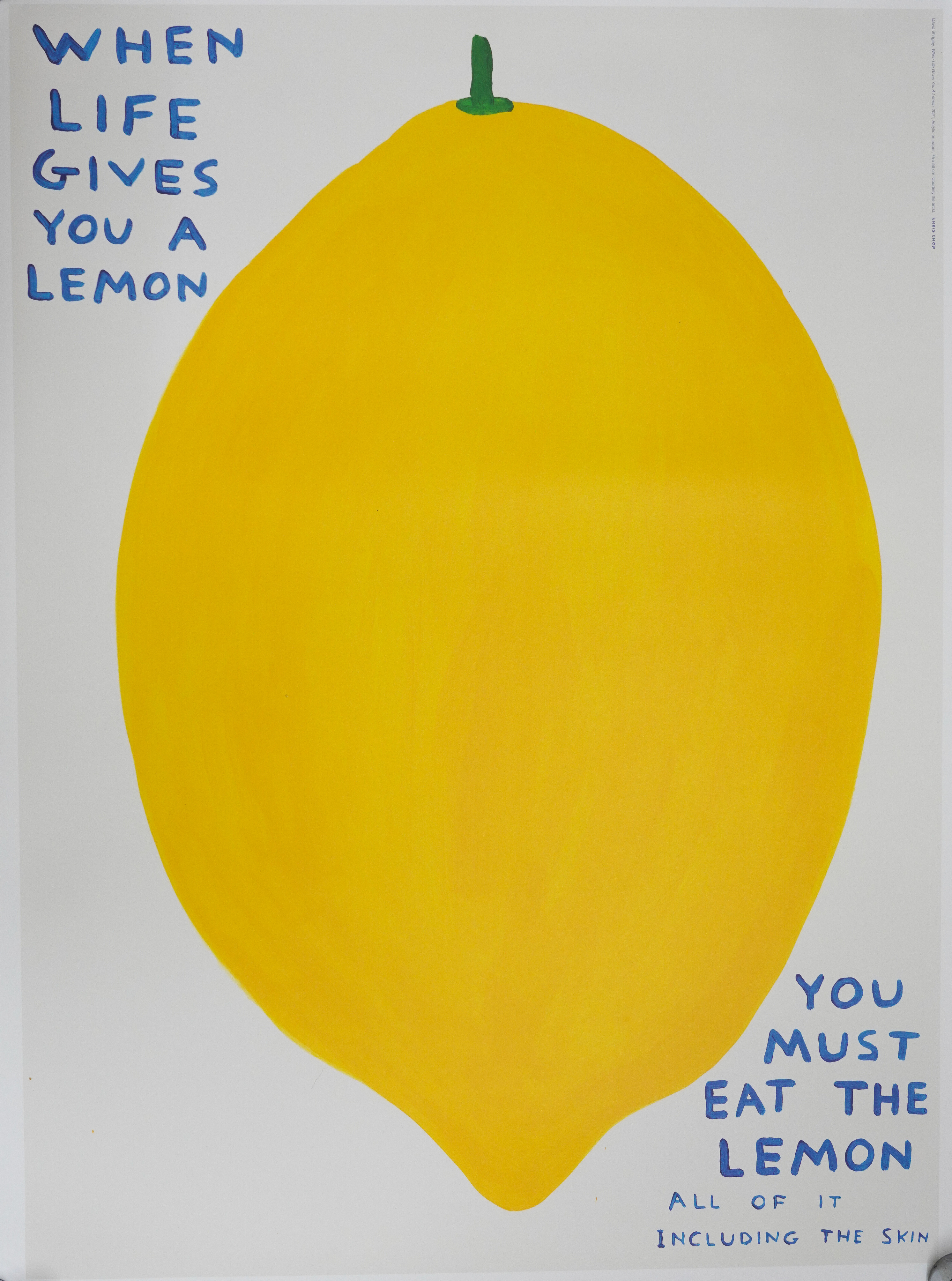 DAVID SHRIGLEY BRITISH B 1968  3ae3a5