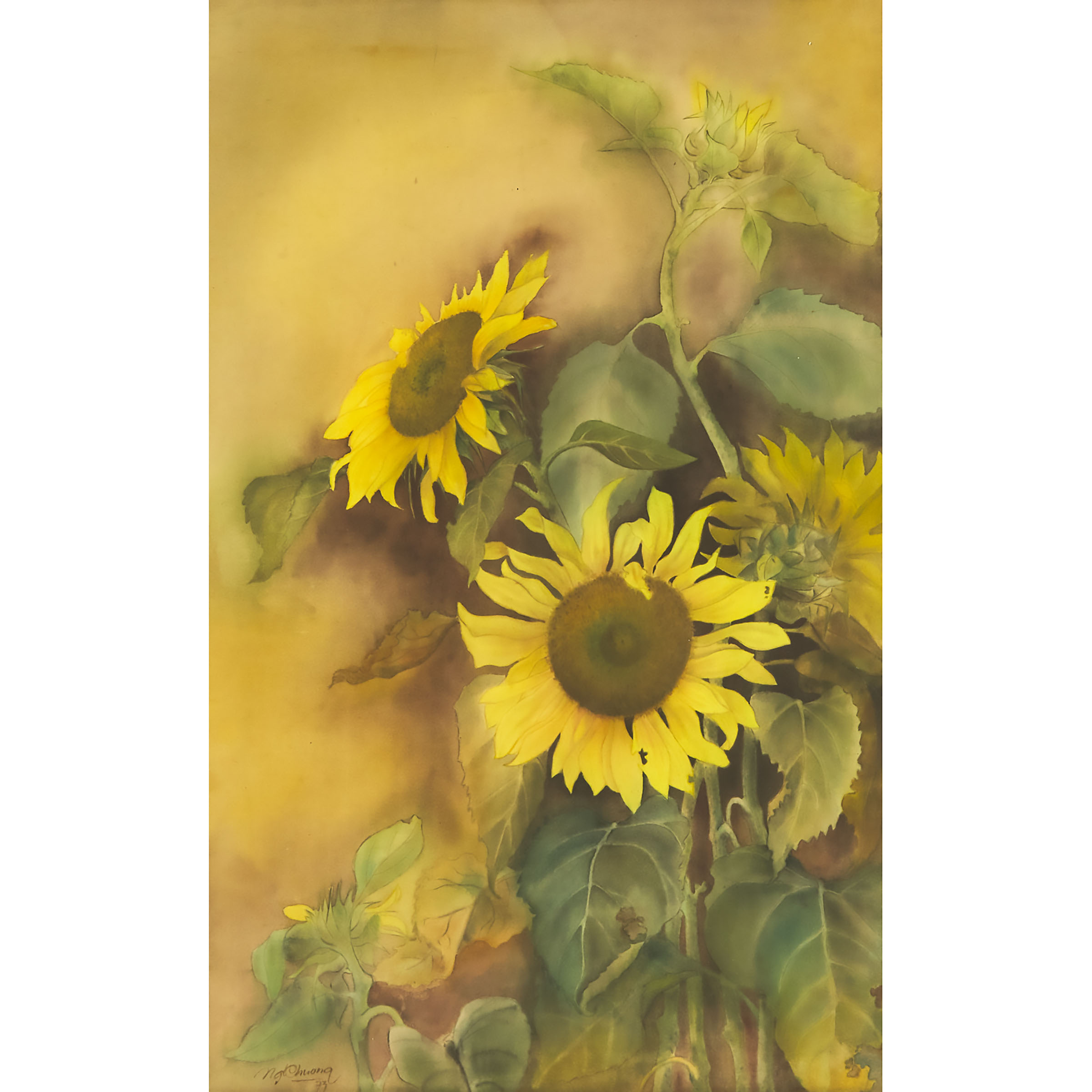 Nguy?n D Chuong (Vietnamese), Sunflower,