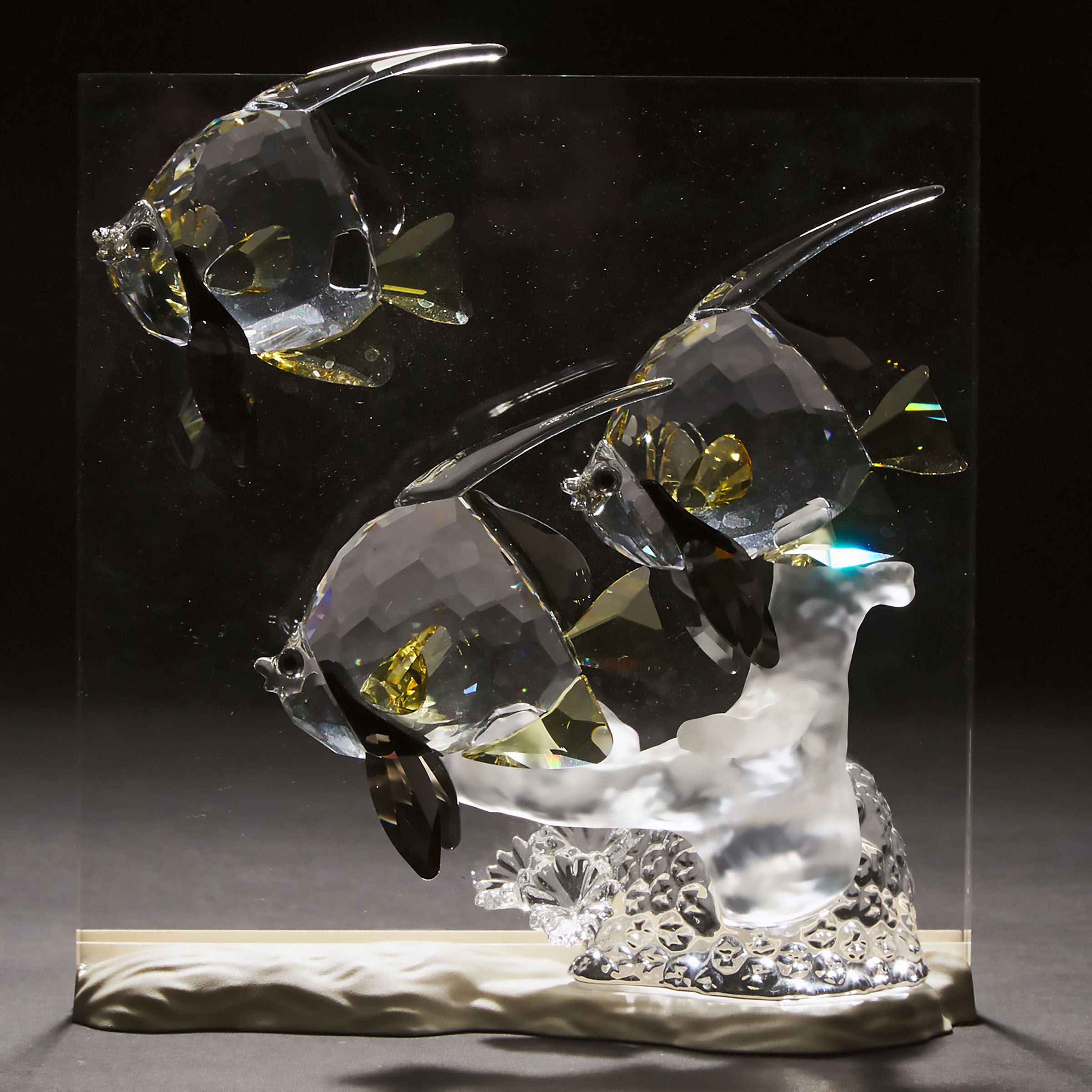 Swarovski Crystal 'Wonders of the