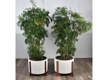 A pair of round white ceramic planters
