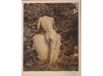 Vintage photograph, nude by large
