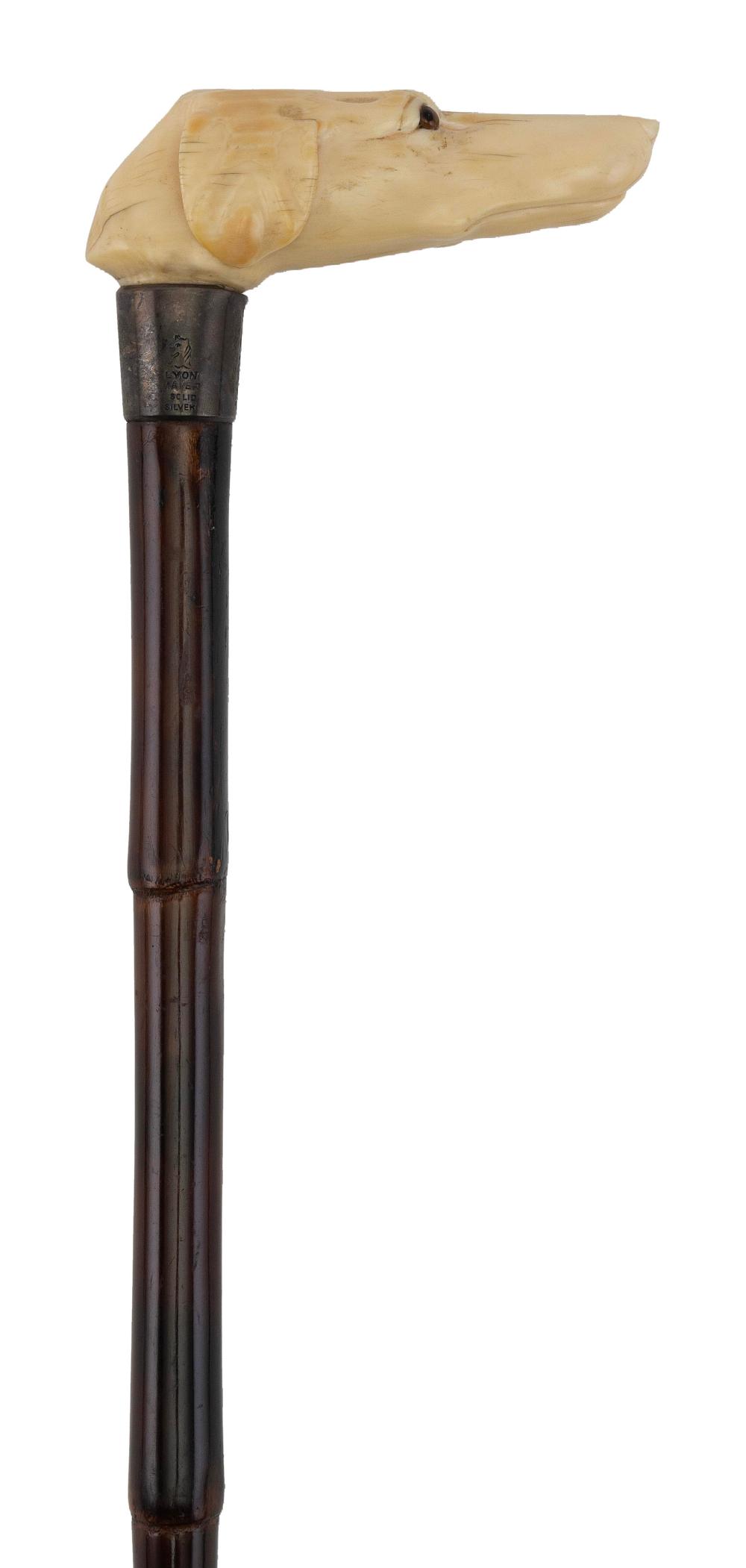 GREYHOUND CANE LATE 19TH/EARLY