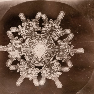 Wilson A. Bentley
(American, 1865-1931)
Snowflake,