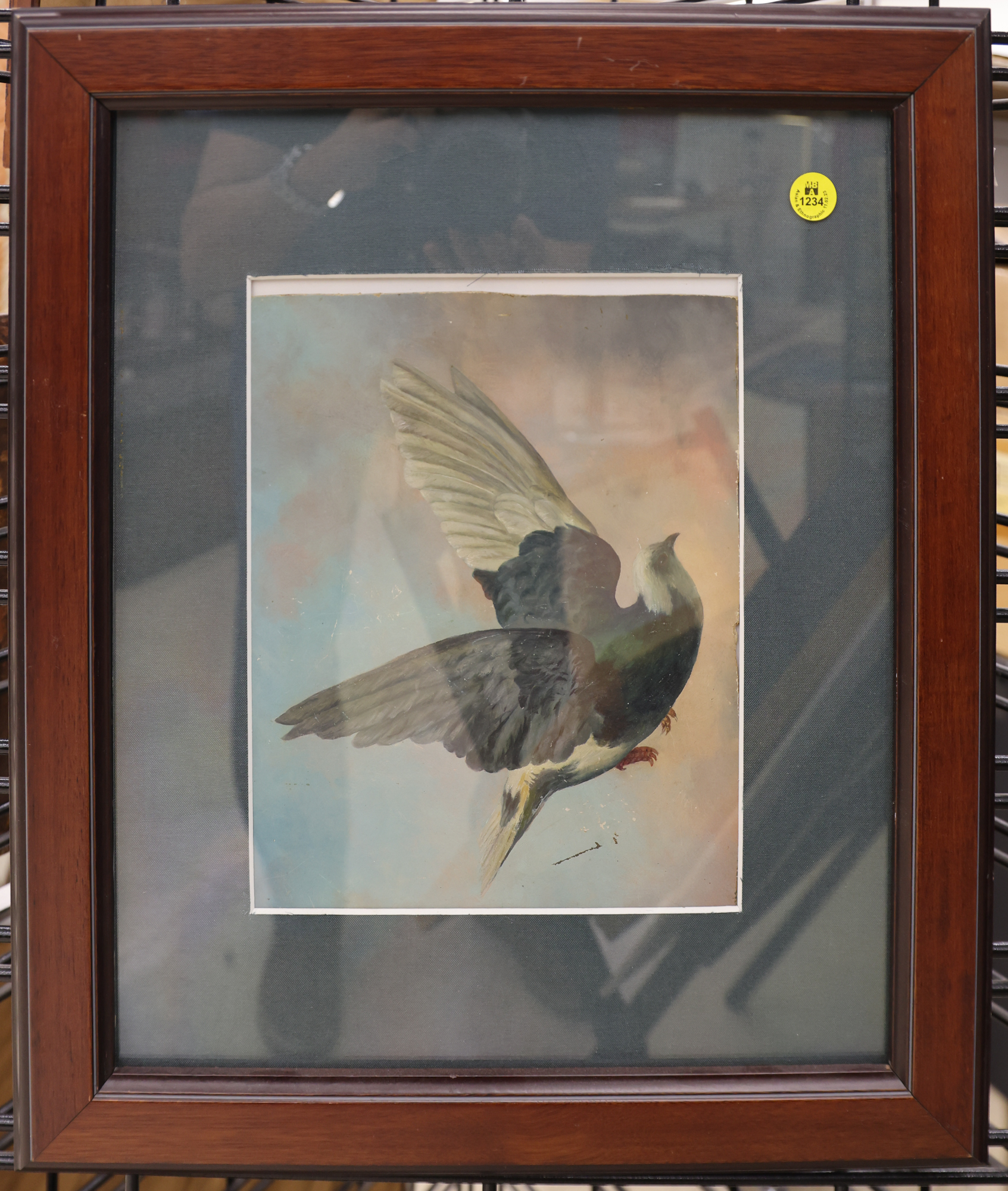 Victorian Pigeon in Flight Oil 3afcfe