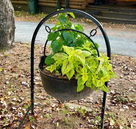 Iron cauldron planter lawn ornament  3b02e4